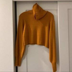 Aritzia Wilfred cropped turtleneck sweater